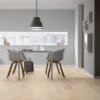 Oak old white plank