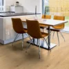 Oak Yoga Studio plank