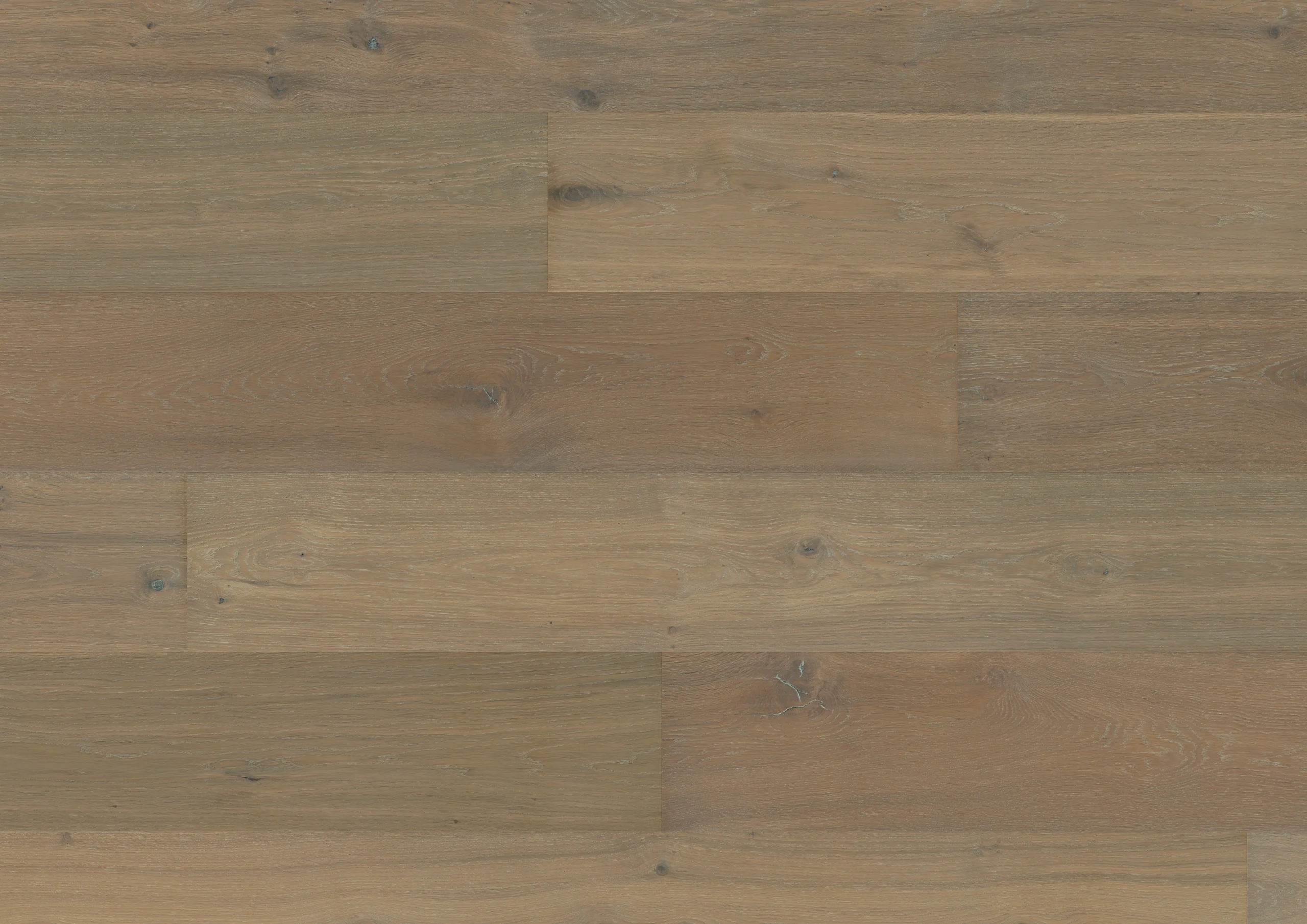 Oak Mojave plank