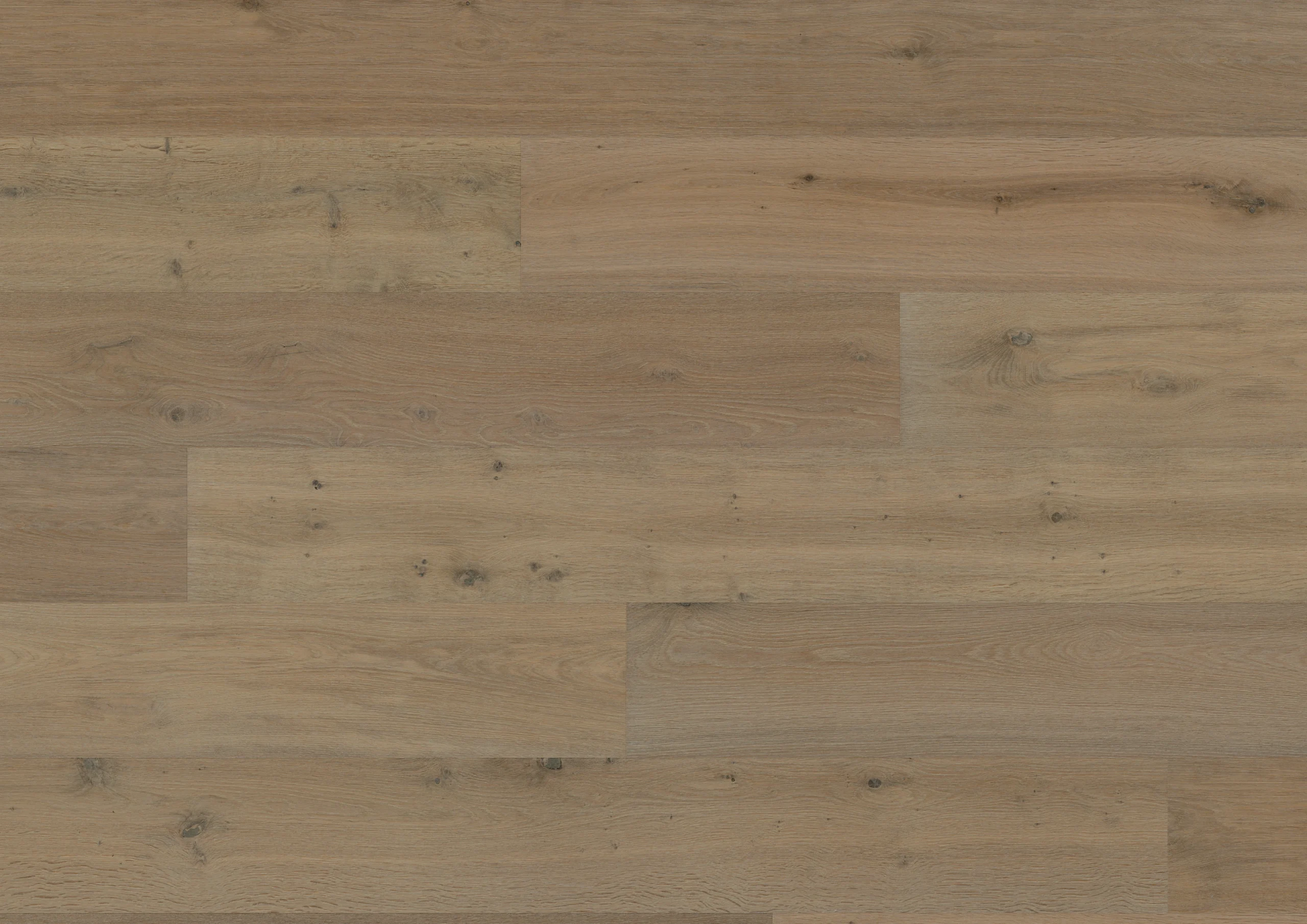 Oak Great Basin plank