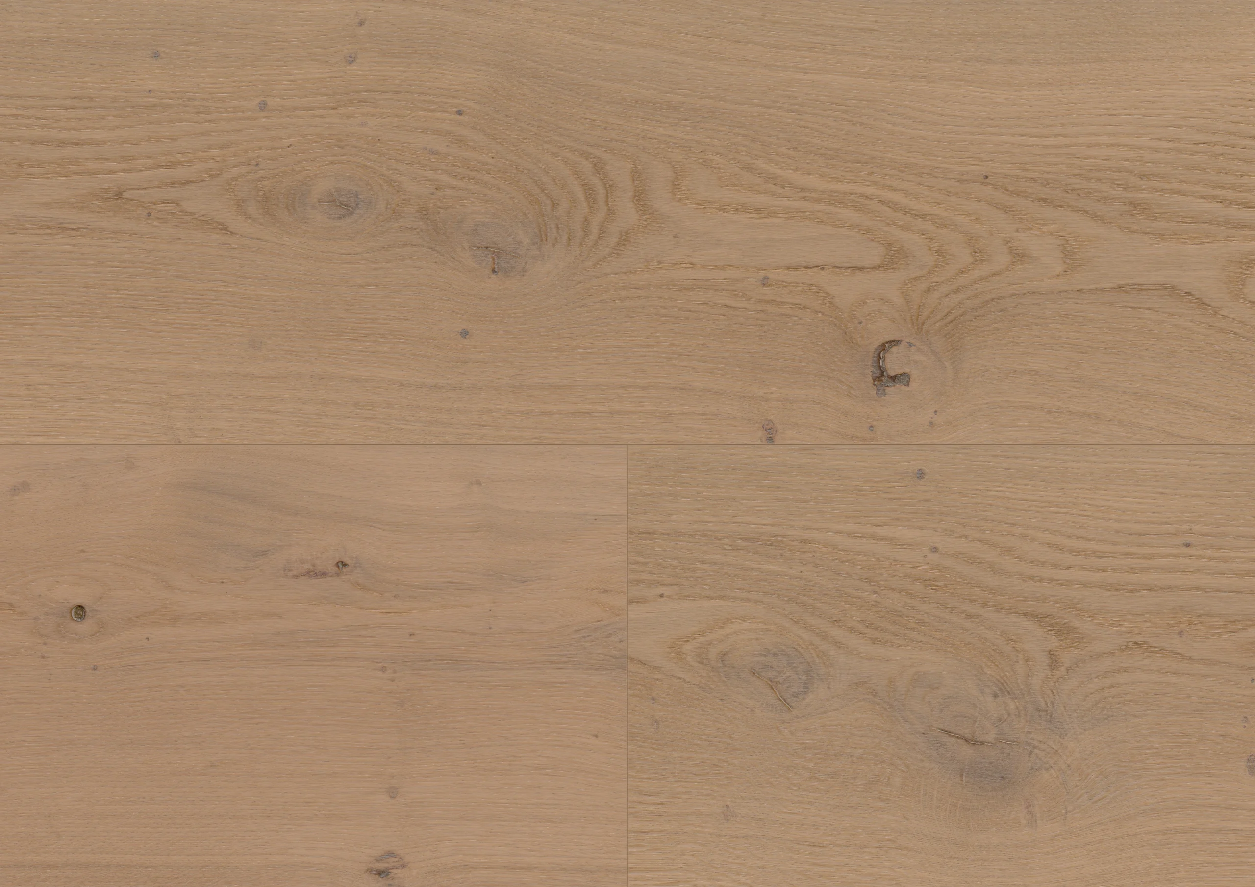Oak Nieuw Land plank