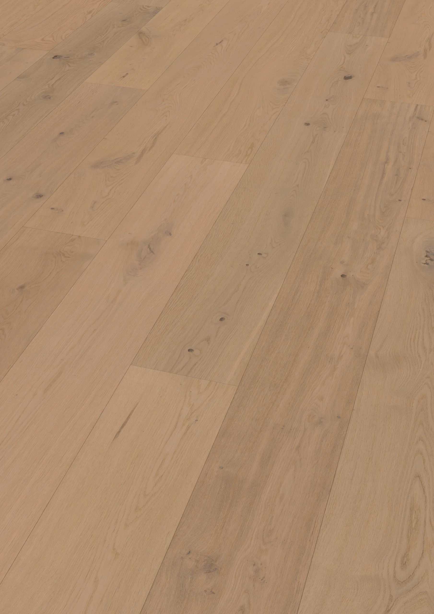 Oak Nieuw Land plank