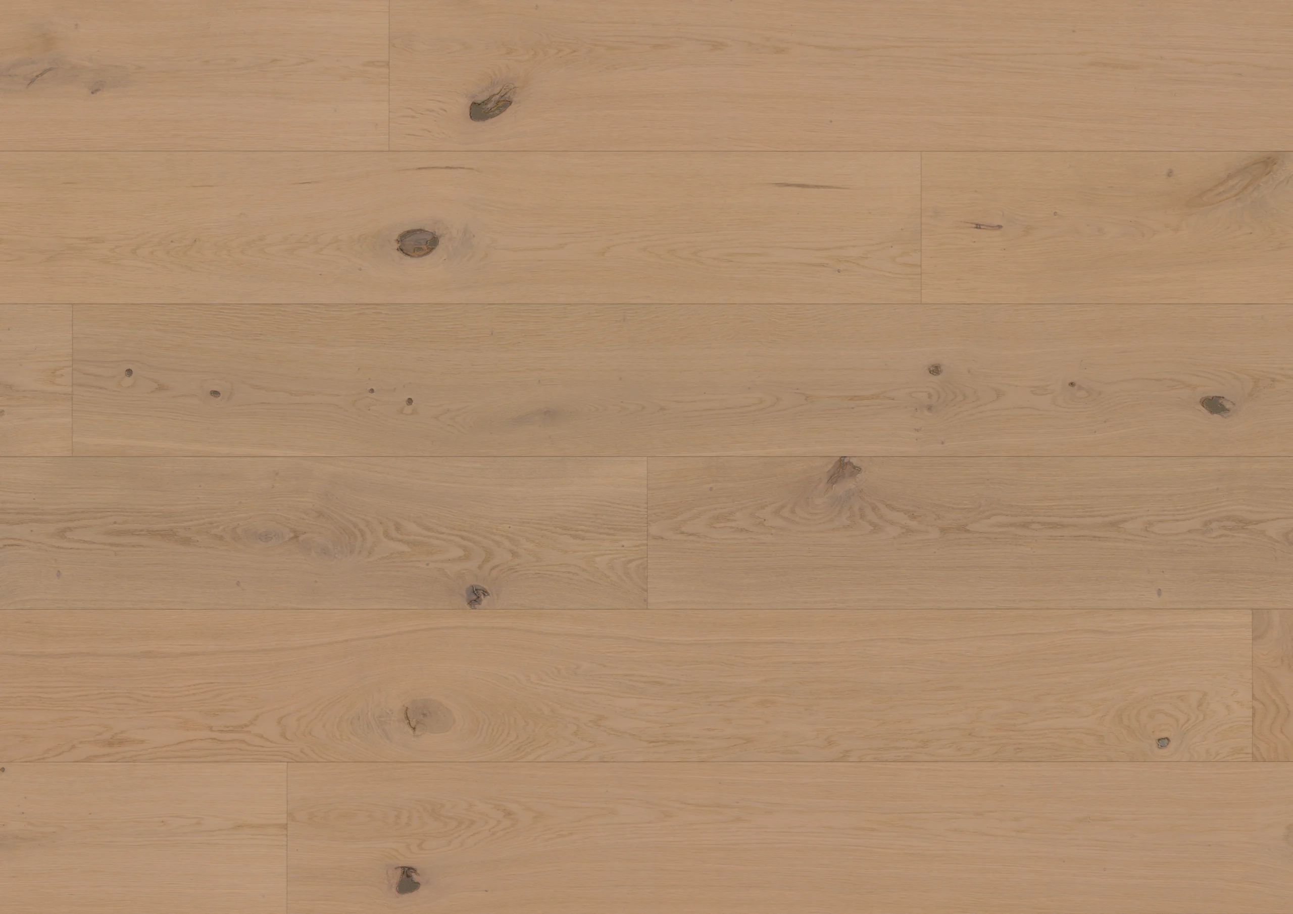 Oak Nieuw Land plank