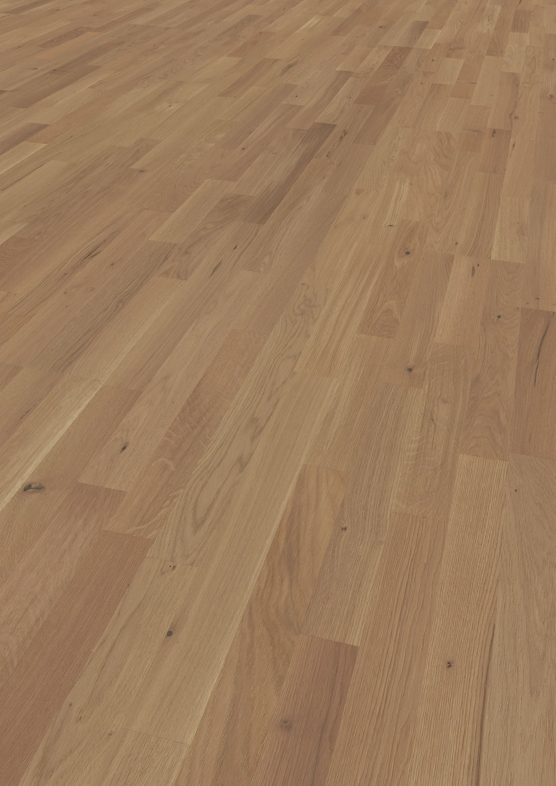 Oak Triana 3-strip