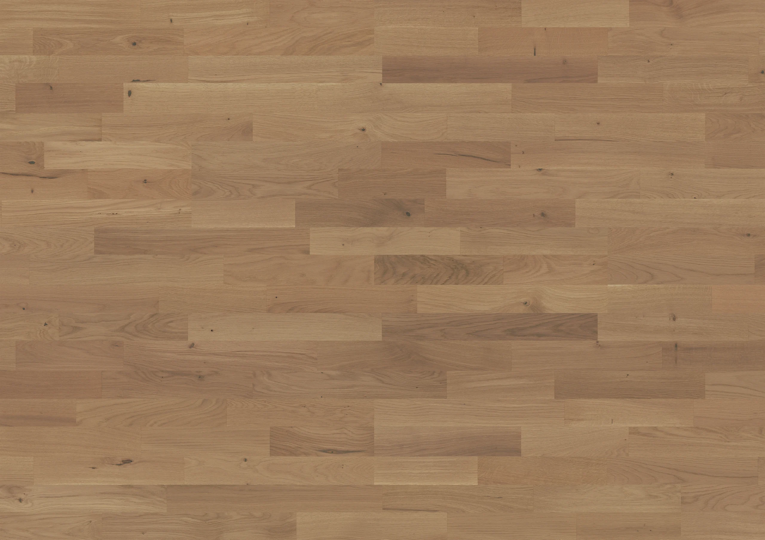 Oak Triana 3-strip