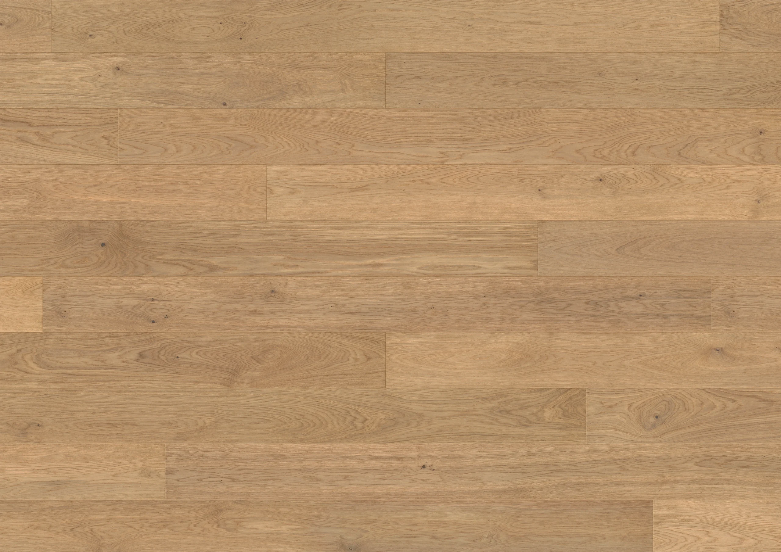 Oak San Berillo plank