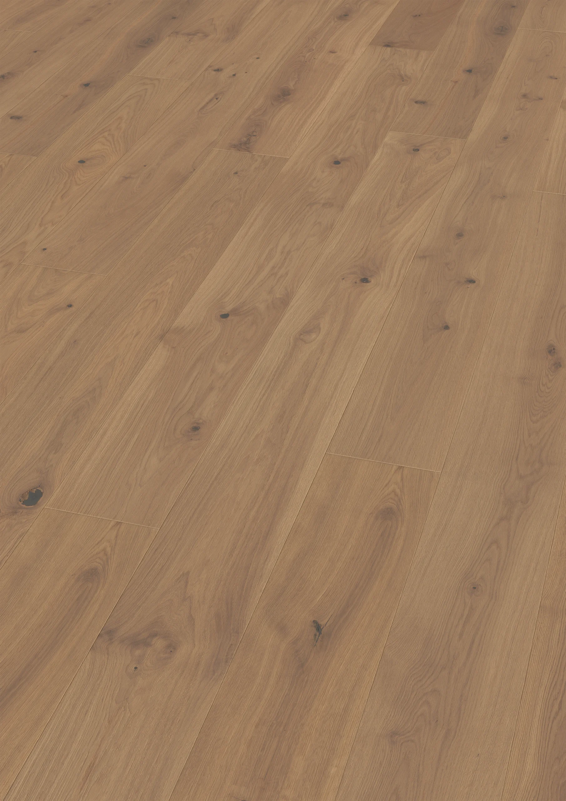 Oak Belem plank