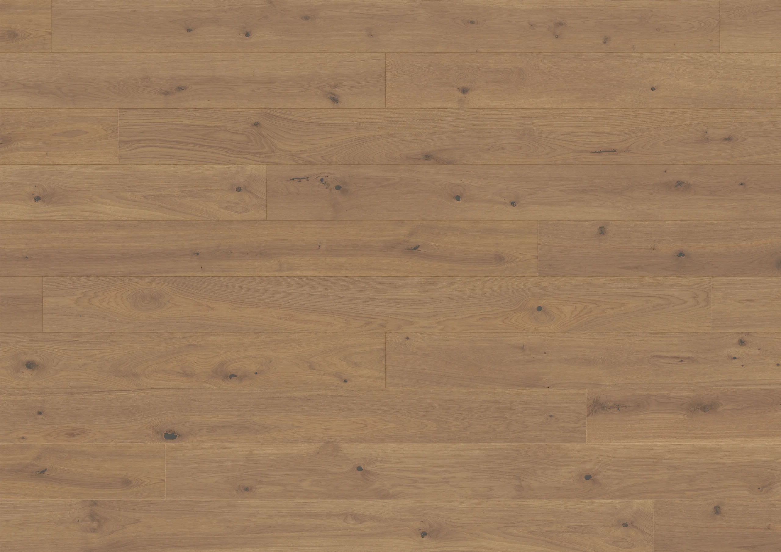 Oak Belem plank