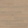 Ash Ponza plank