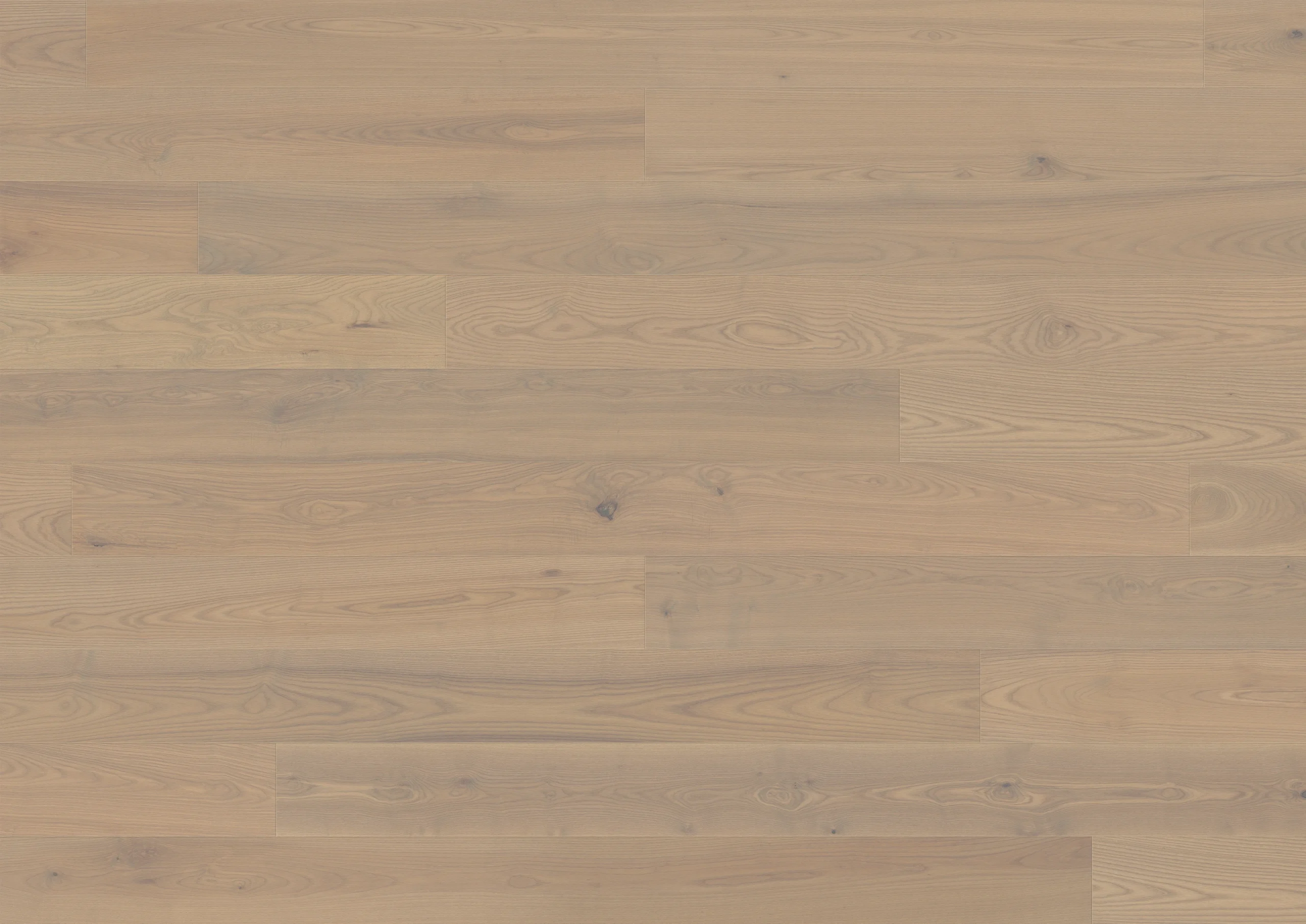 Ash Ponza plank