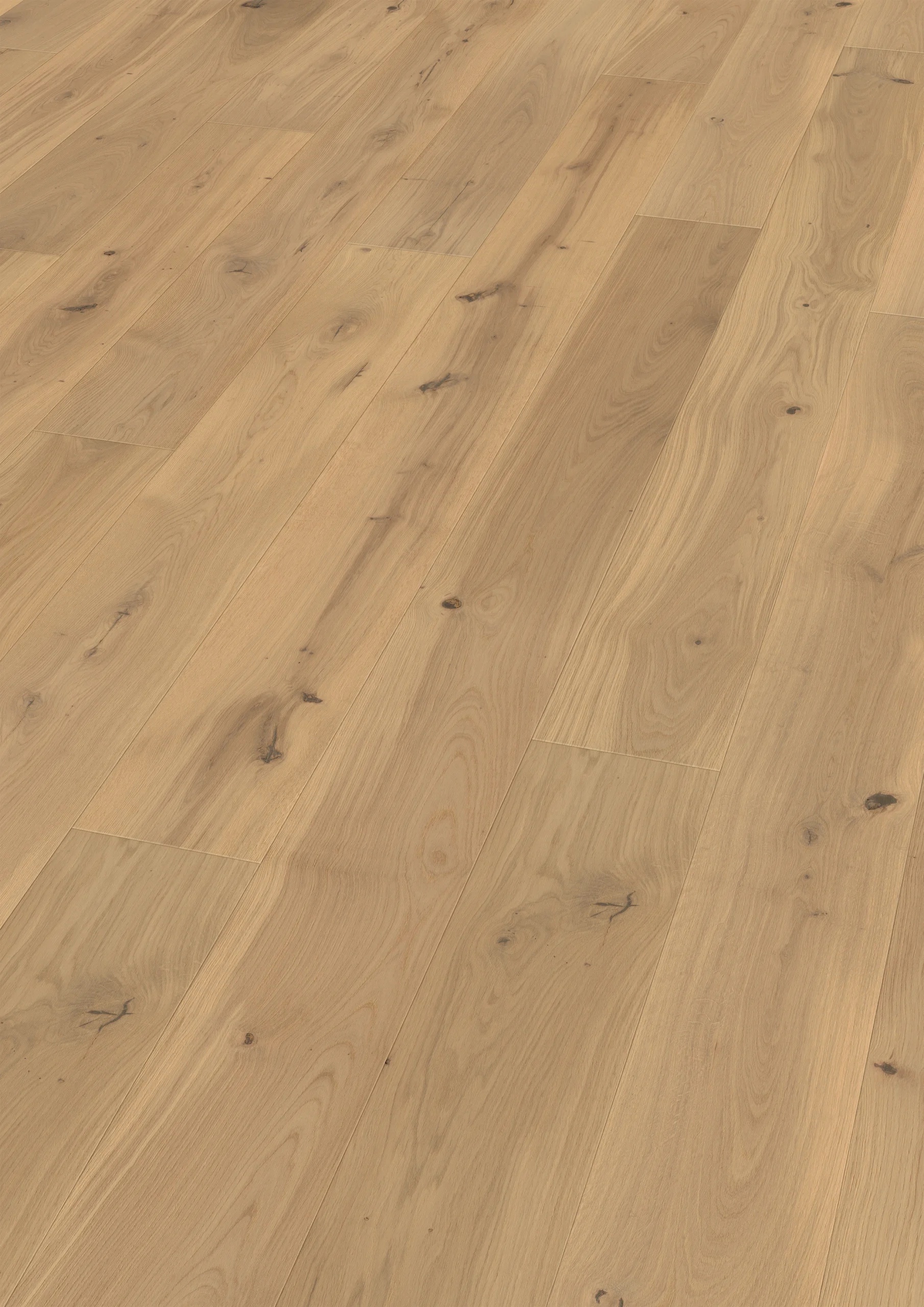 Oak Capitole plank