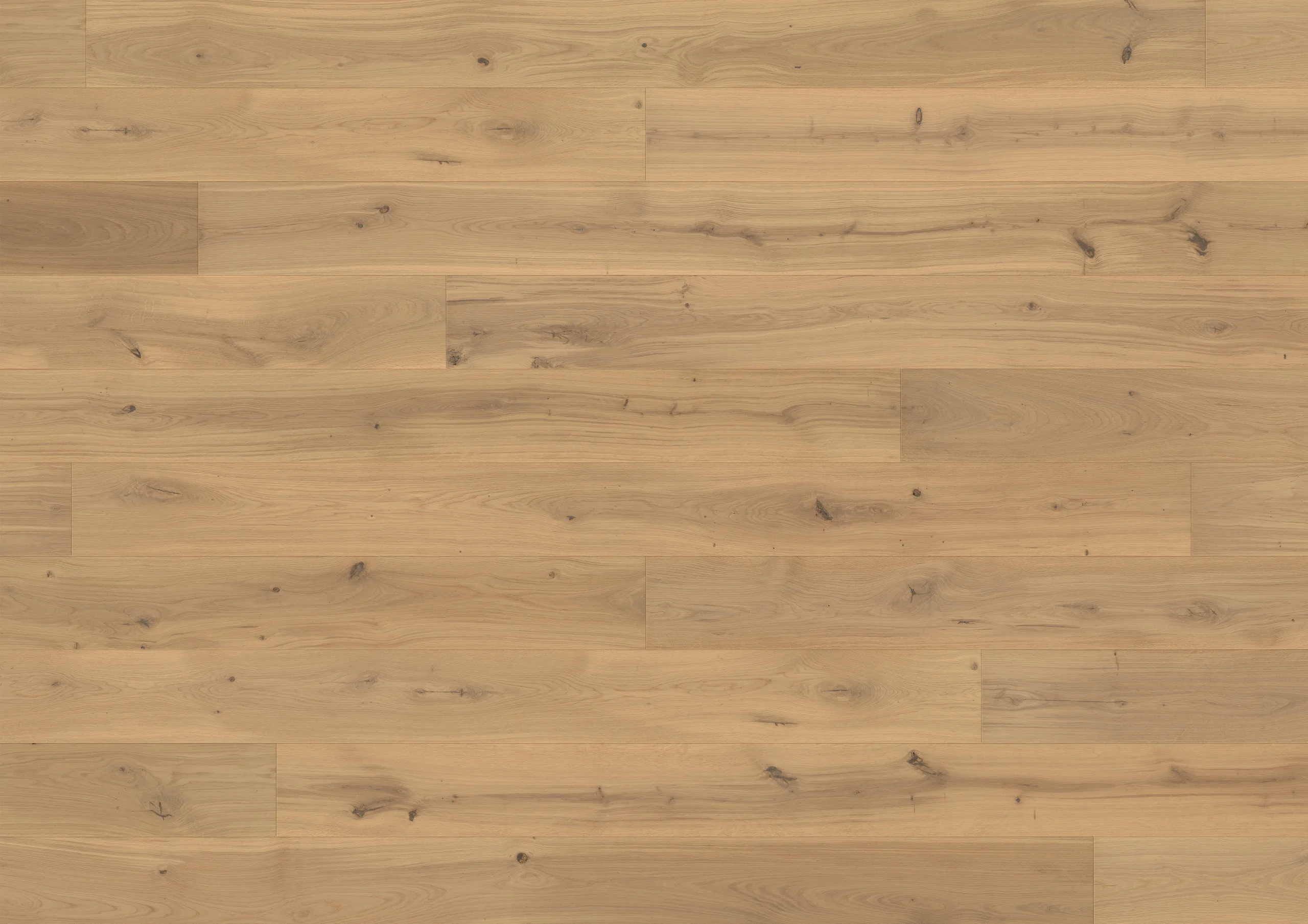 Oak Capitole plank