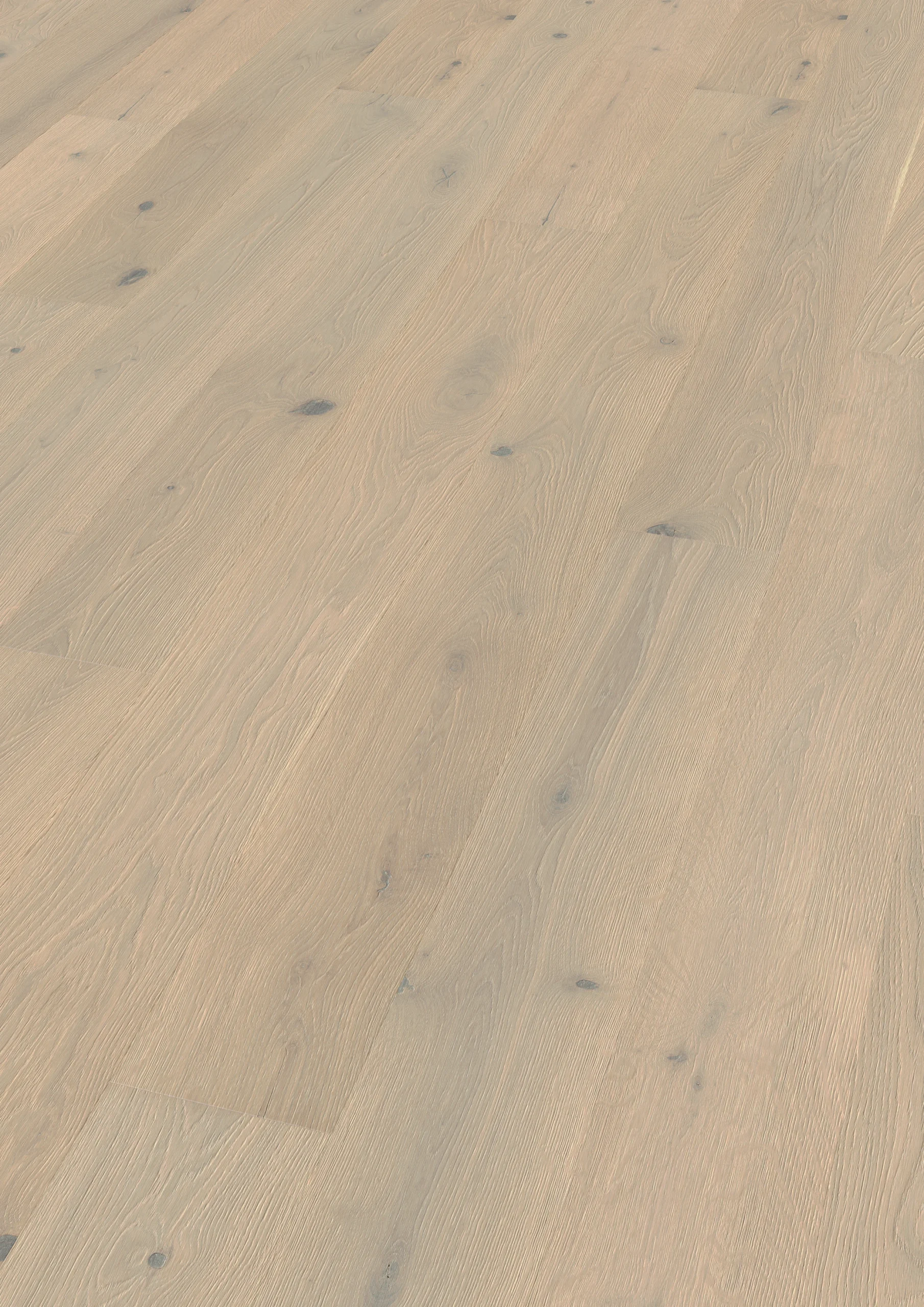 Oak Park Avenue plank