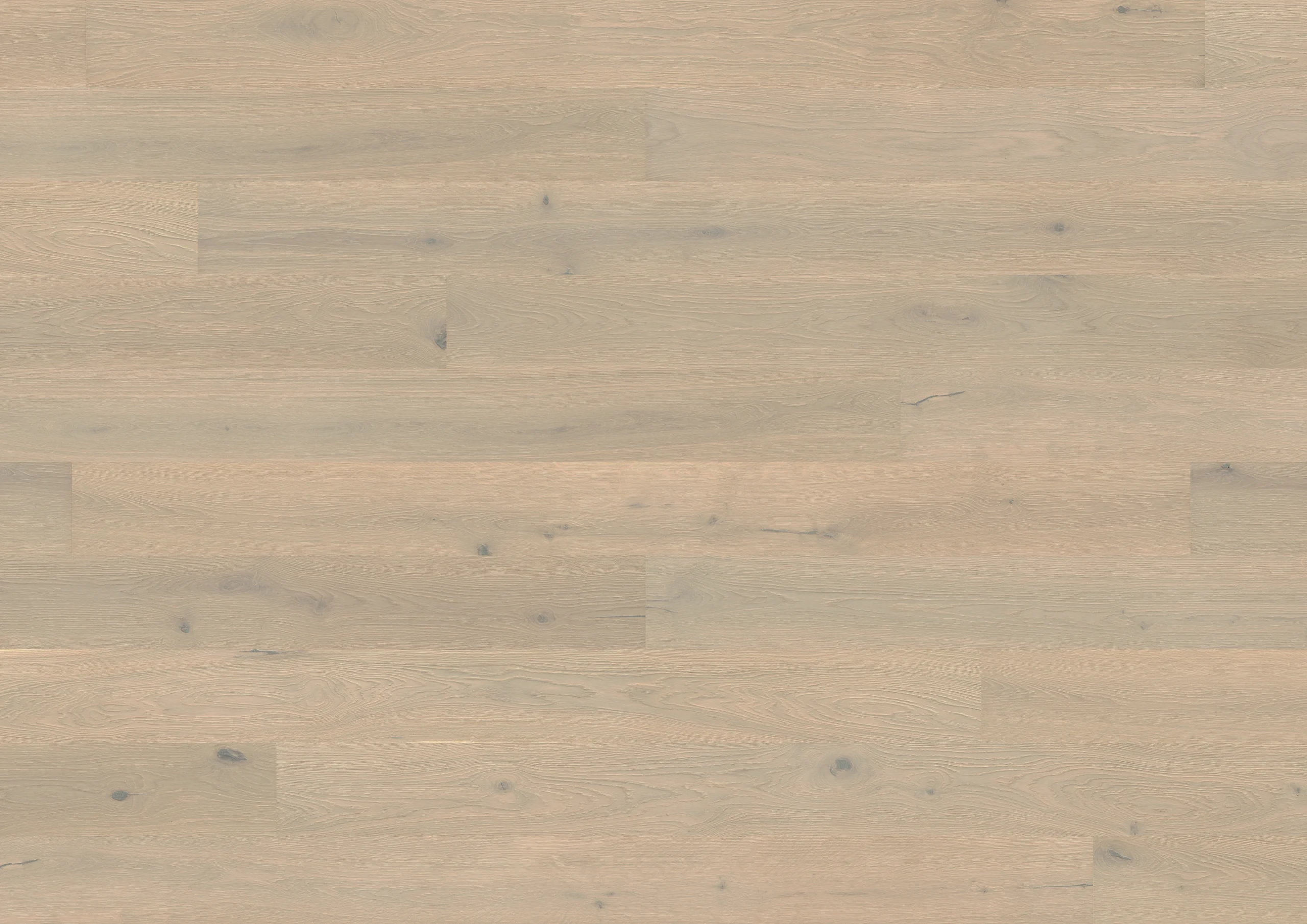 Oak Park Avenue plank