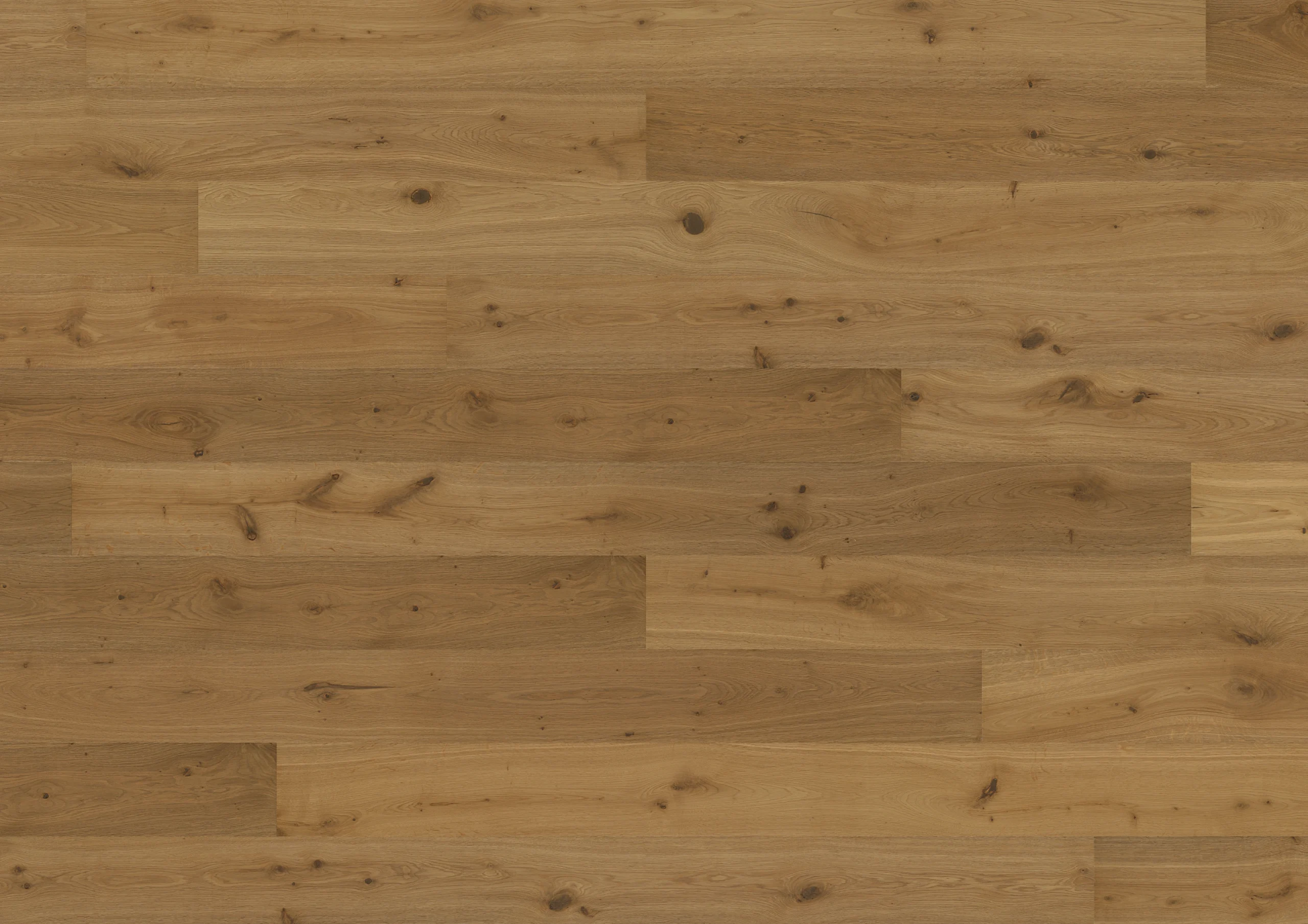 Oak Montmartre plank