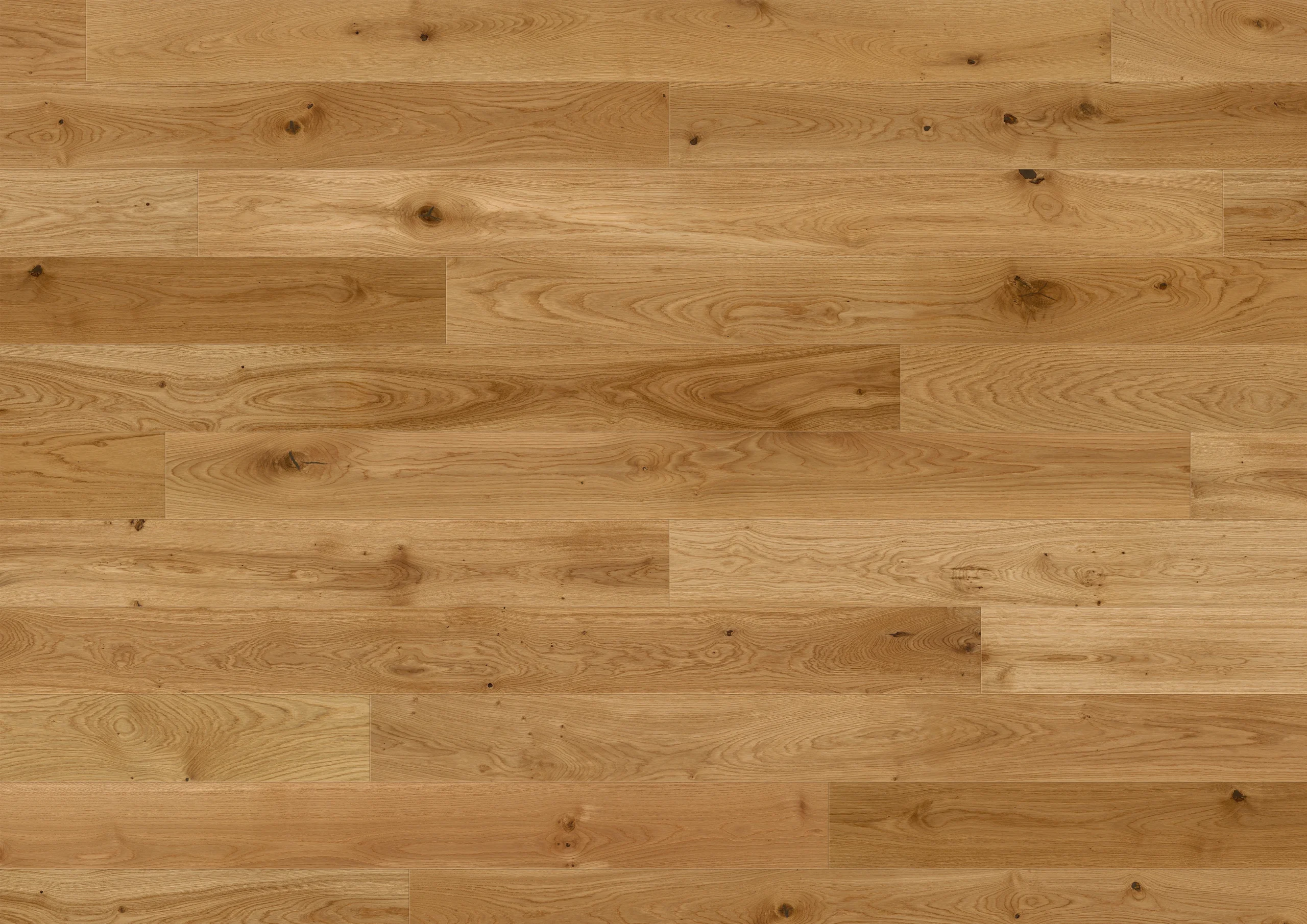 Oak Killarney plank