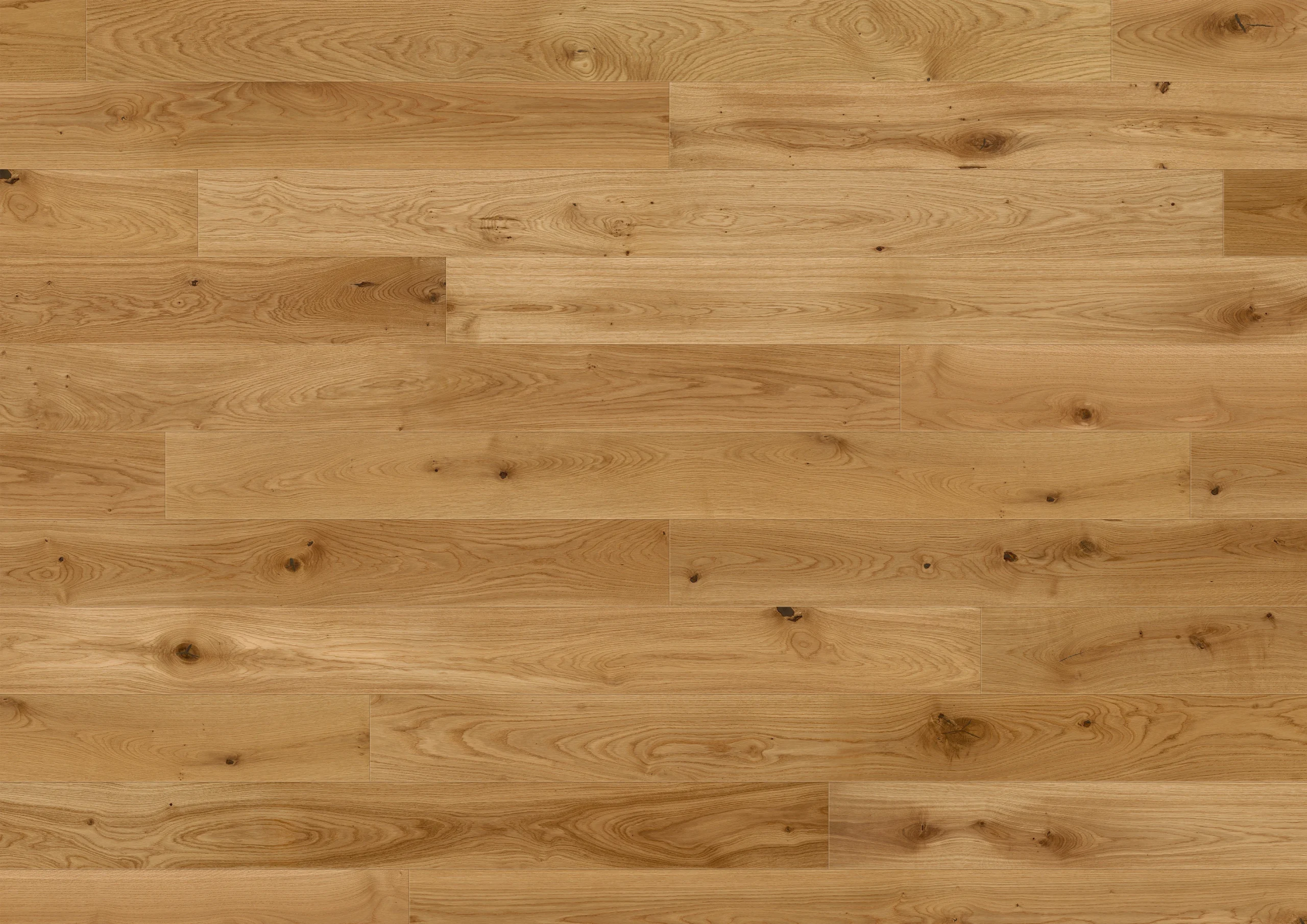 Oak Lublin plank